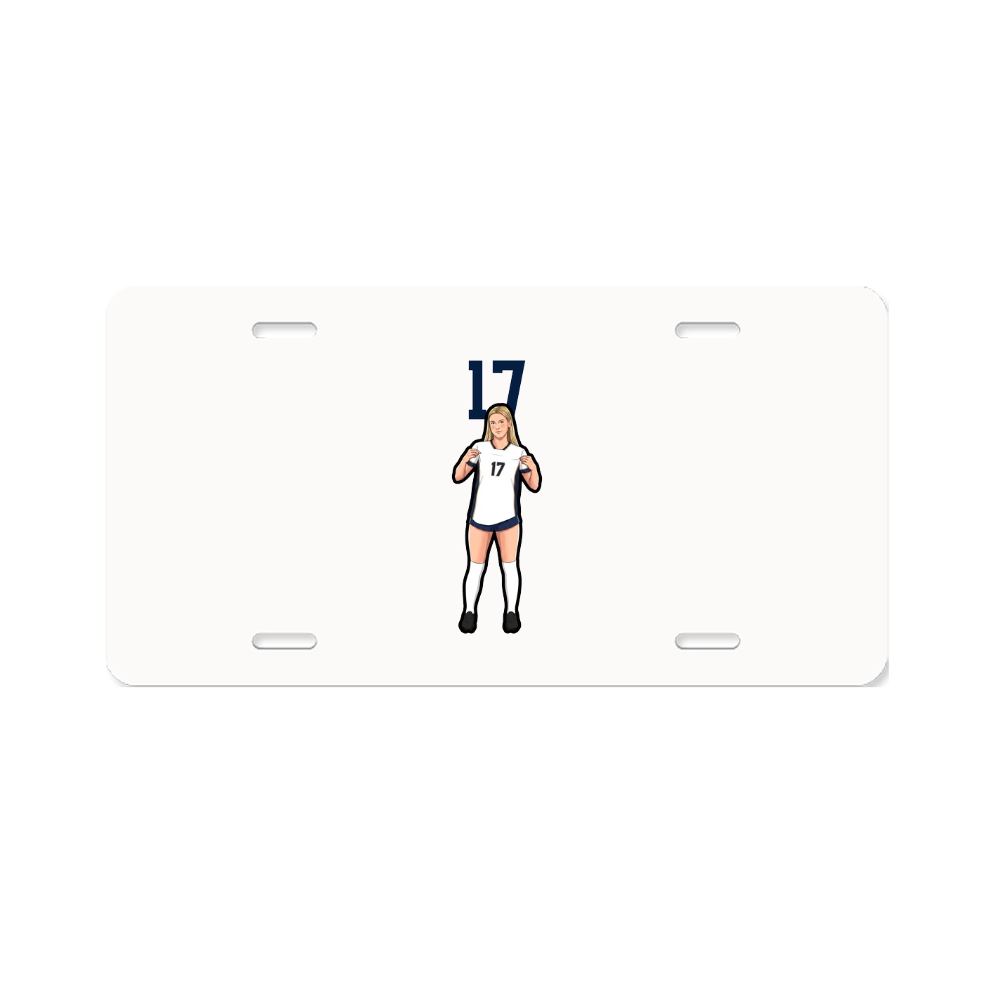 Aluminum License Plate