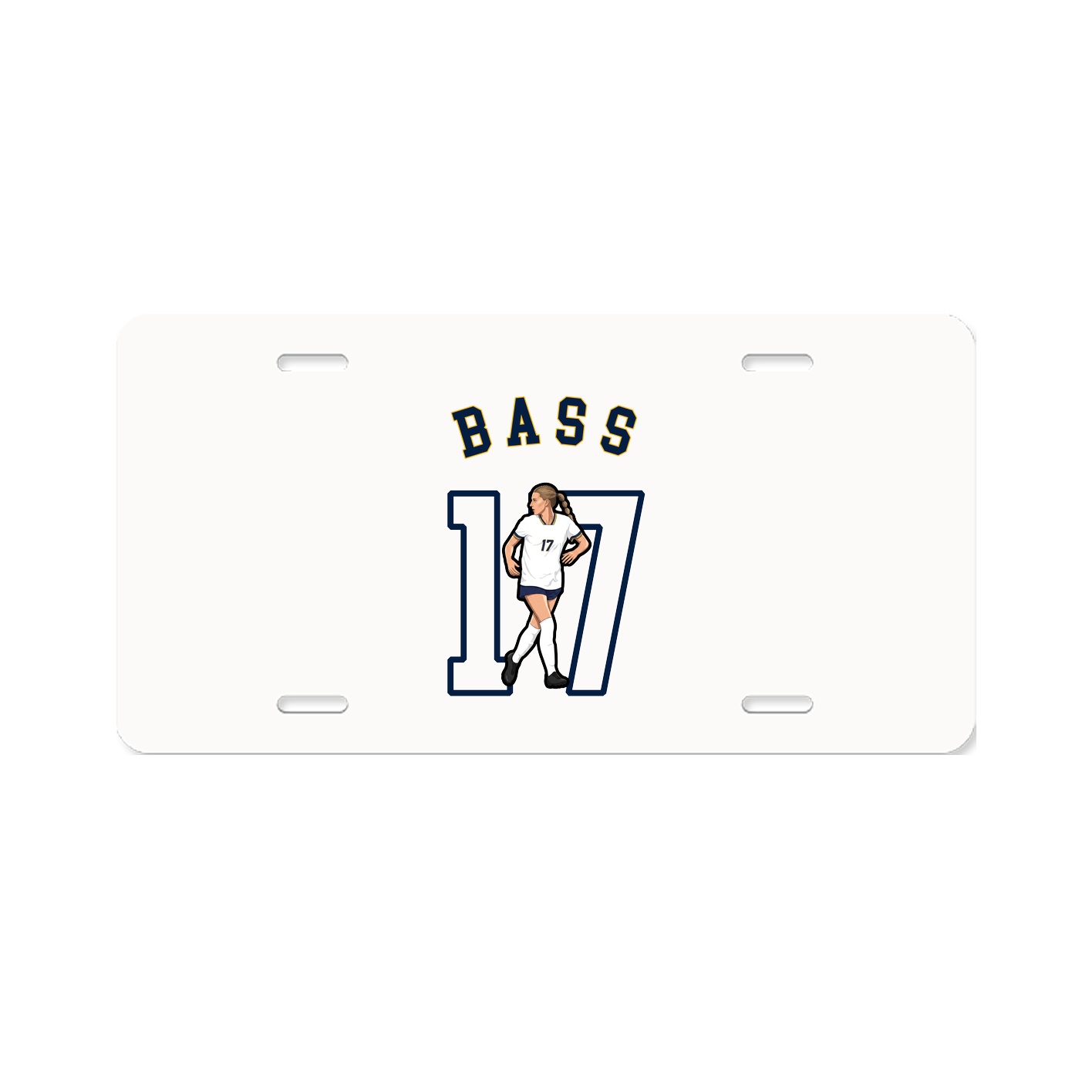 Aluminum License Plate