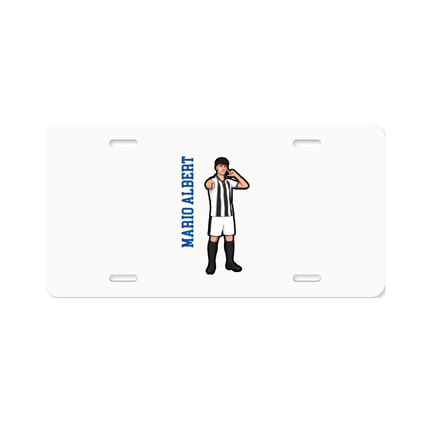 Aluminum License Plate