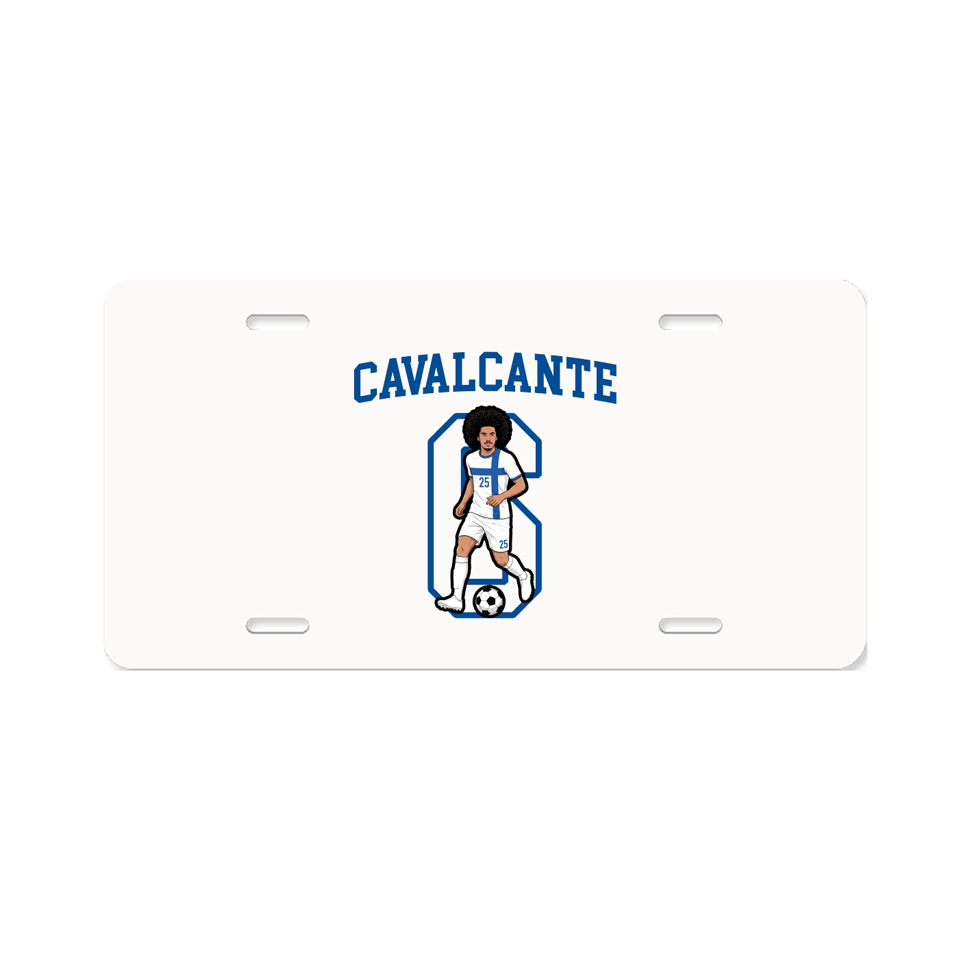 Aluminum License Plate