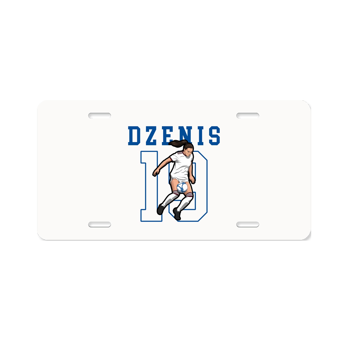 License Plate