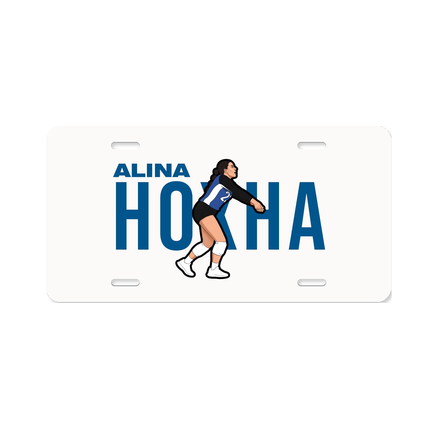 License Plate