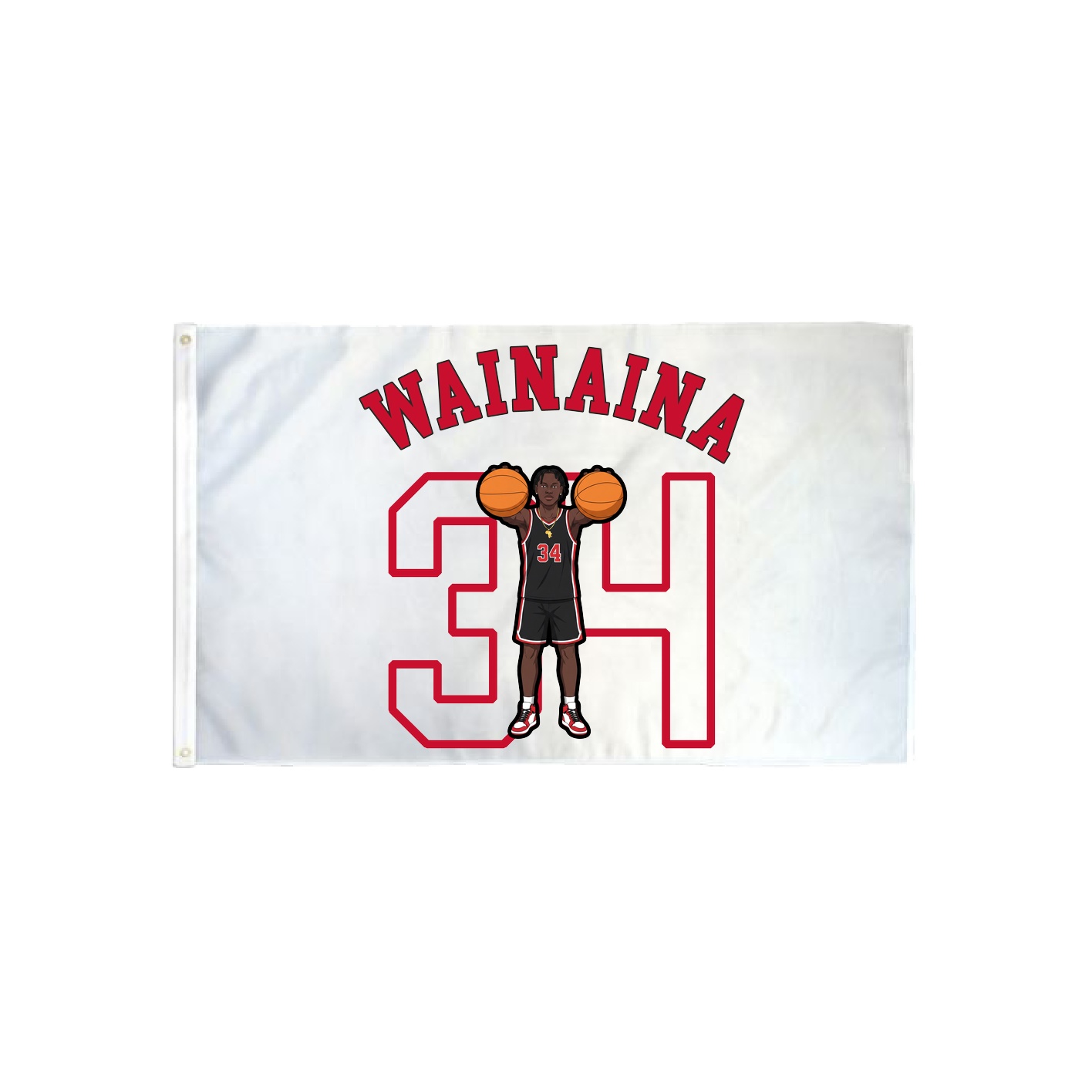 3x5 Flag — Shirsey Arch in Classic