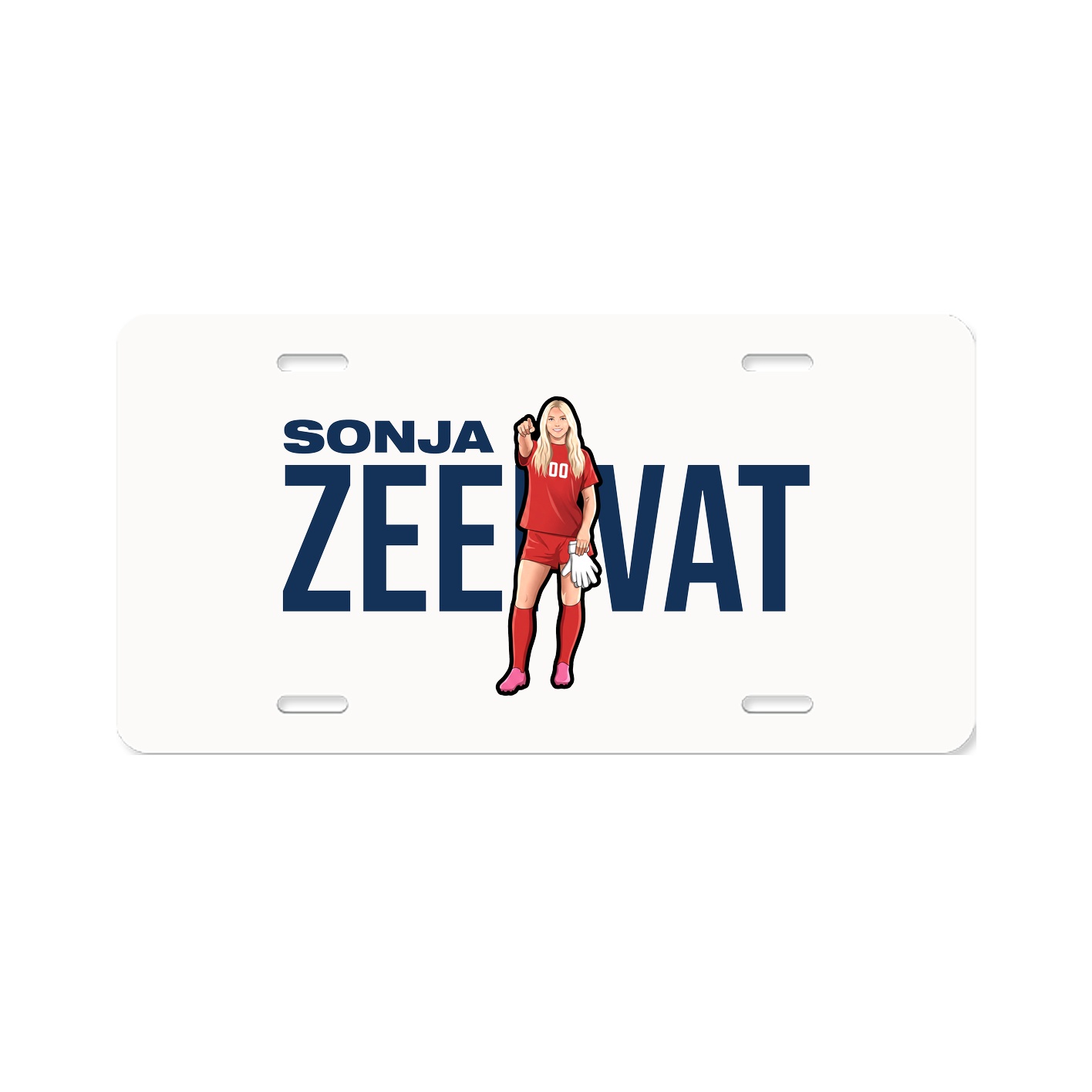 License Plate