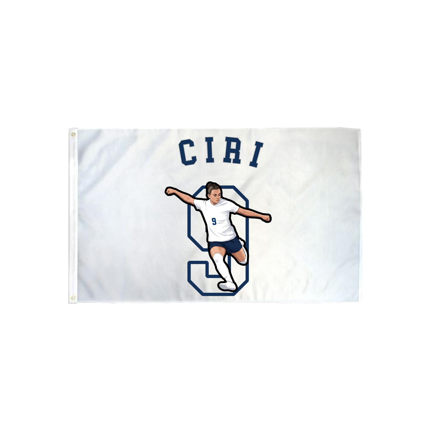 3x5 Flag — Shirsey Arch in Classic