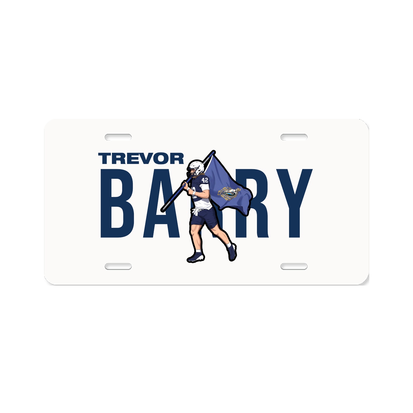 License Plate