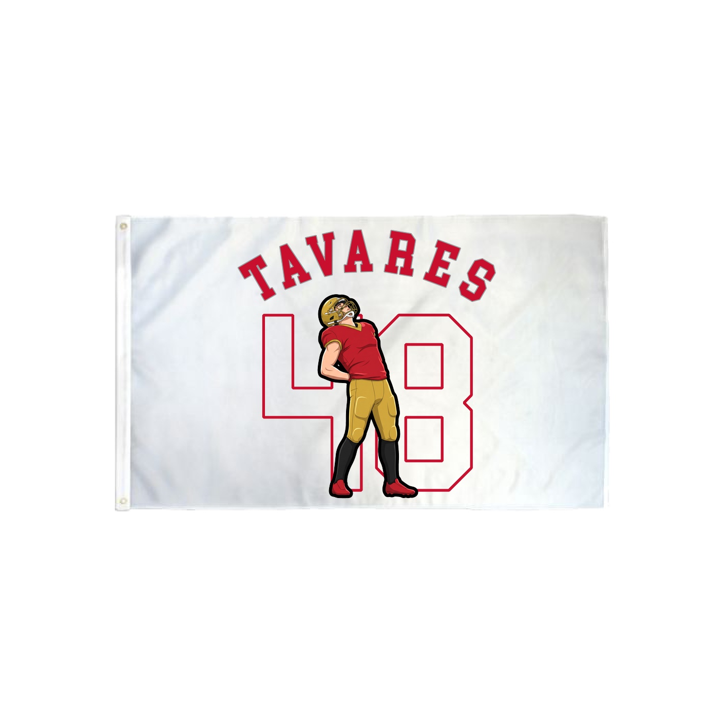3x5 Flag — Shirsey Arch in Classic