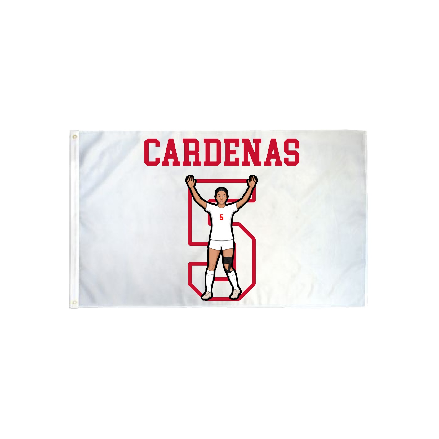 3x5 Flag — Shirsey in Classic
