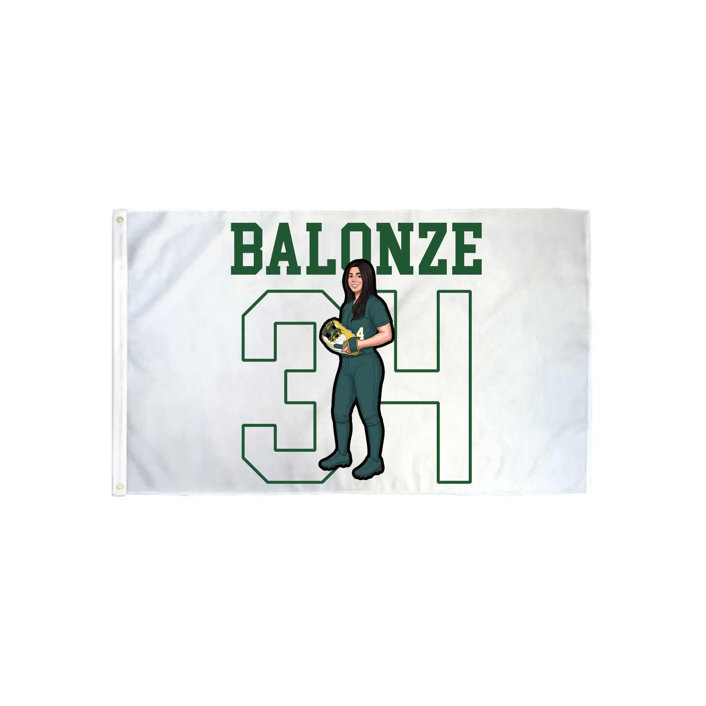 3x5 Flag — Shirsey in Classic