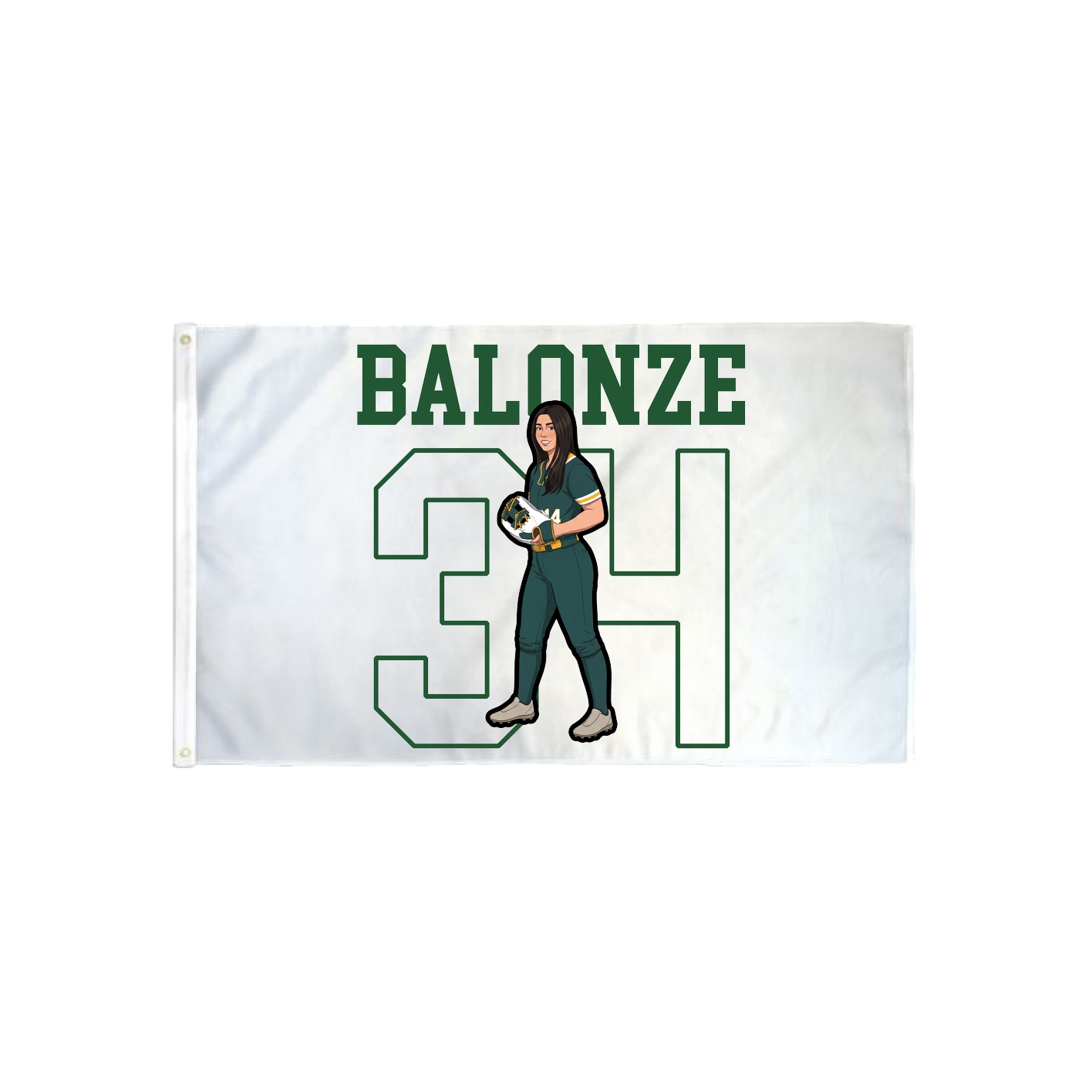 3x5 Flag — Shirsey in Classic