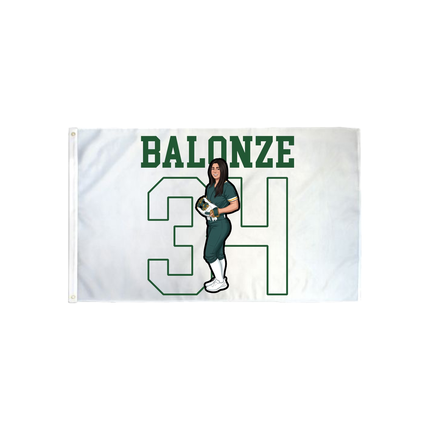 3x5 Flag — Shirsey in Classic