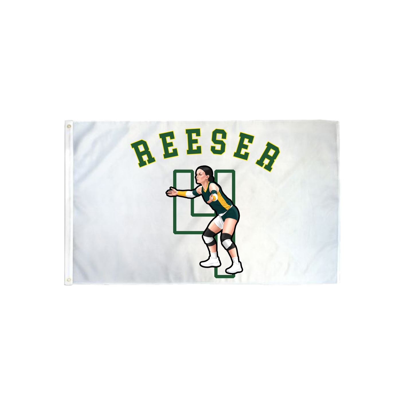3x5 Flag — Shirsey Arch in Classic