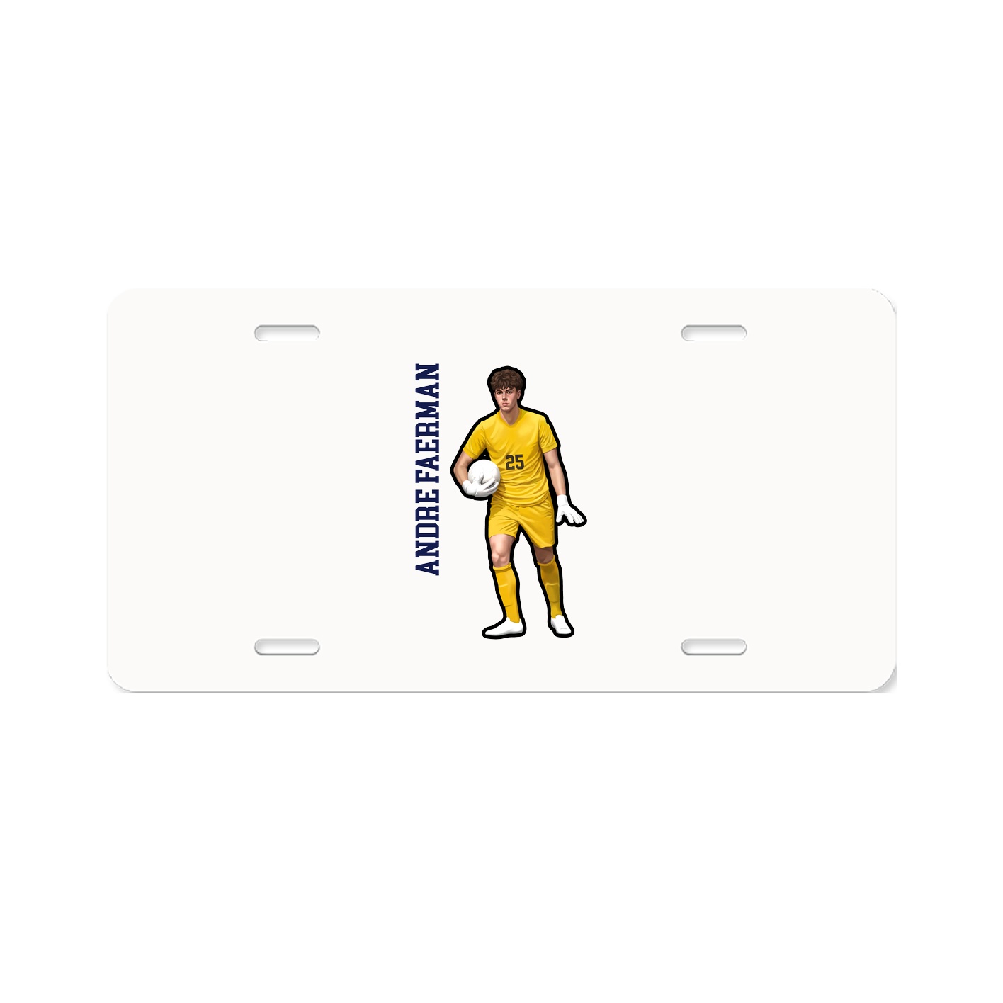 Aluminum License Plate