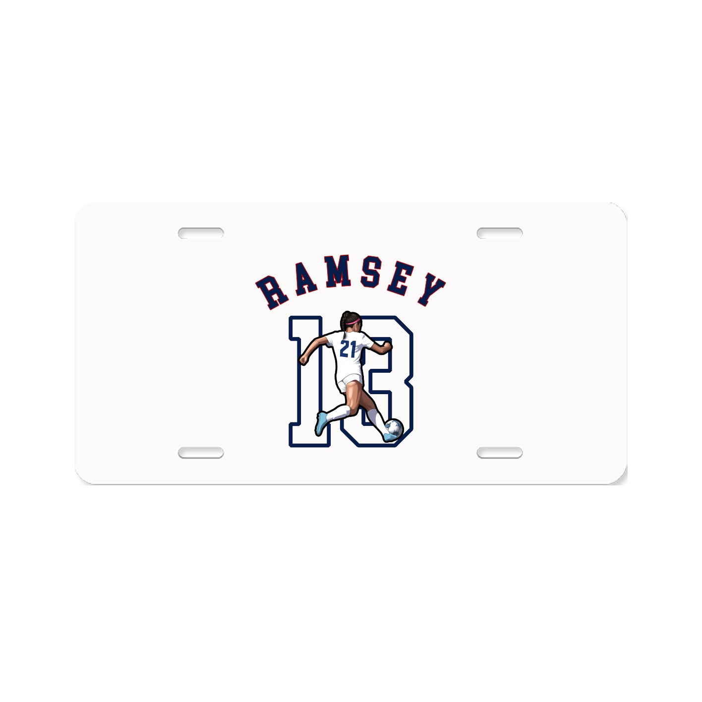 Aluminum License Plate