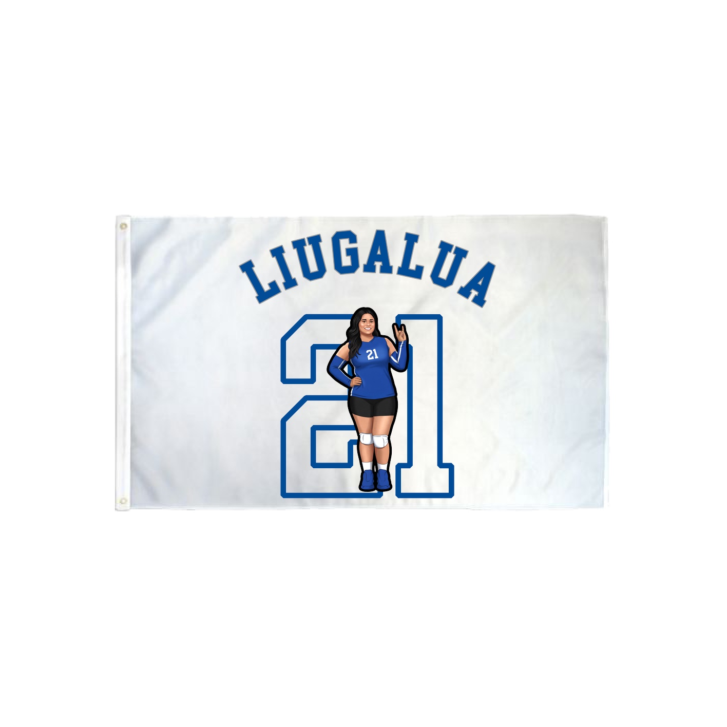 3x5 Flag — Shirsey Arch in Classic