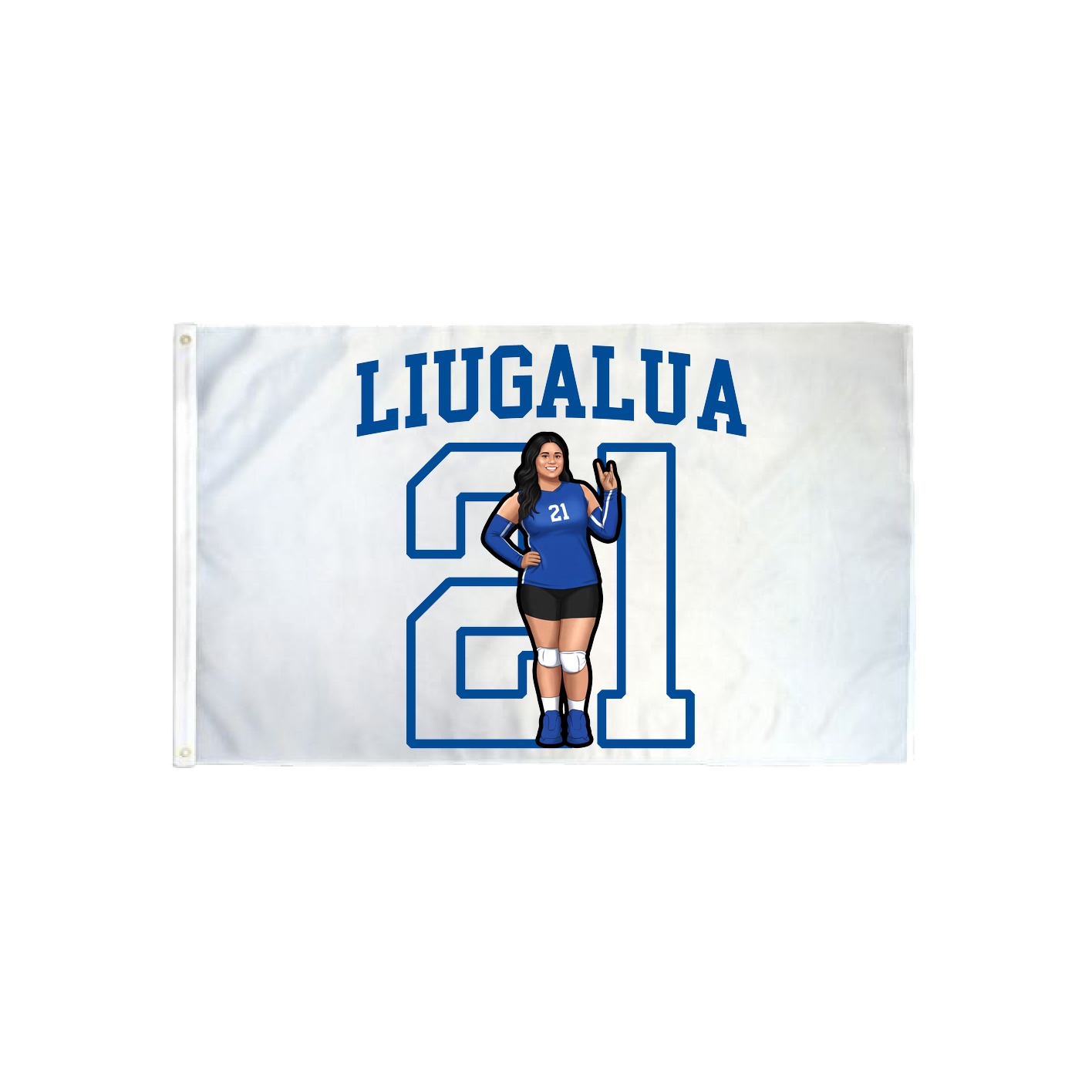 3x5 Flag