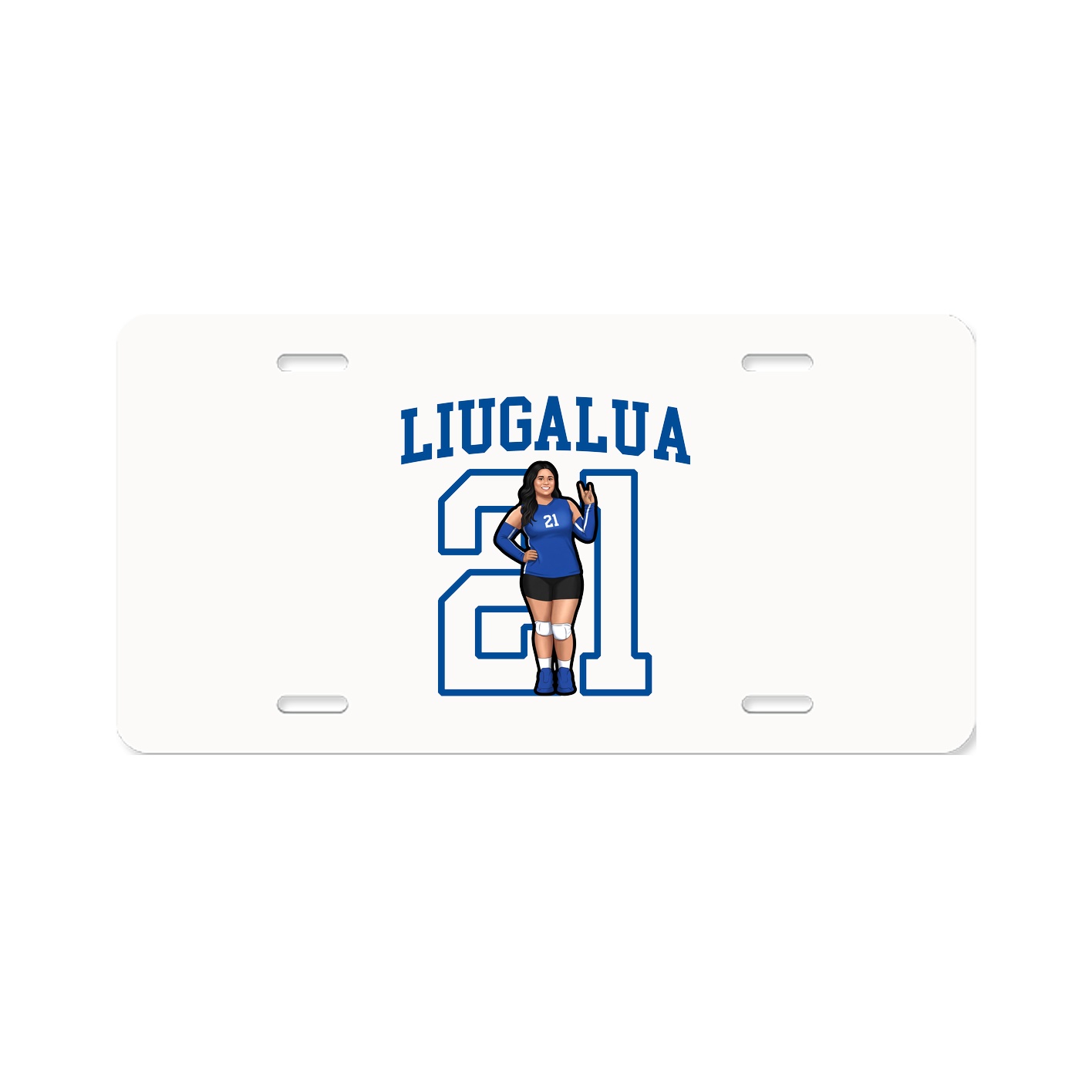 Aluminum License Plate