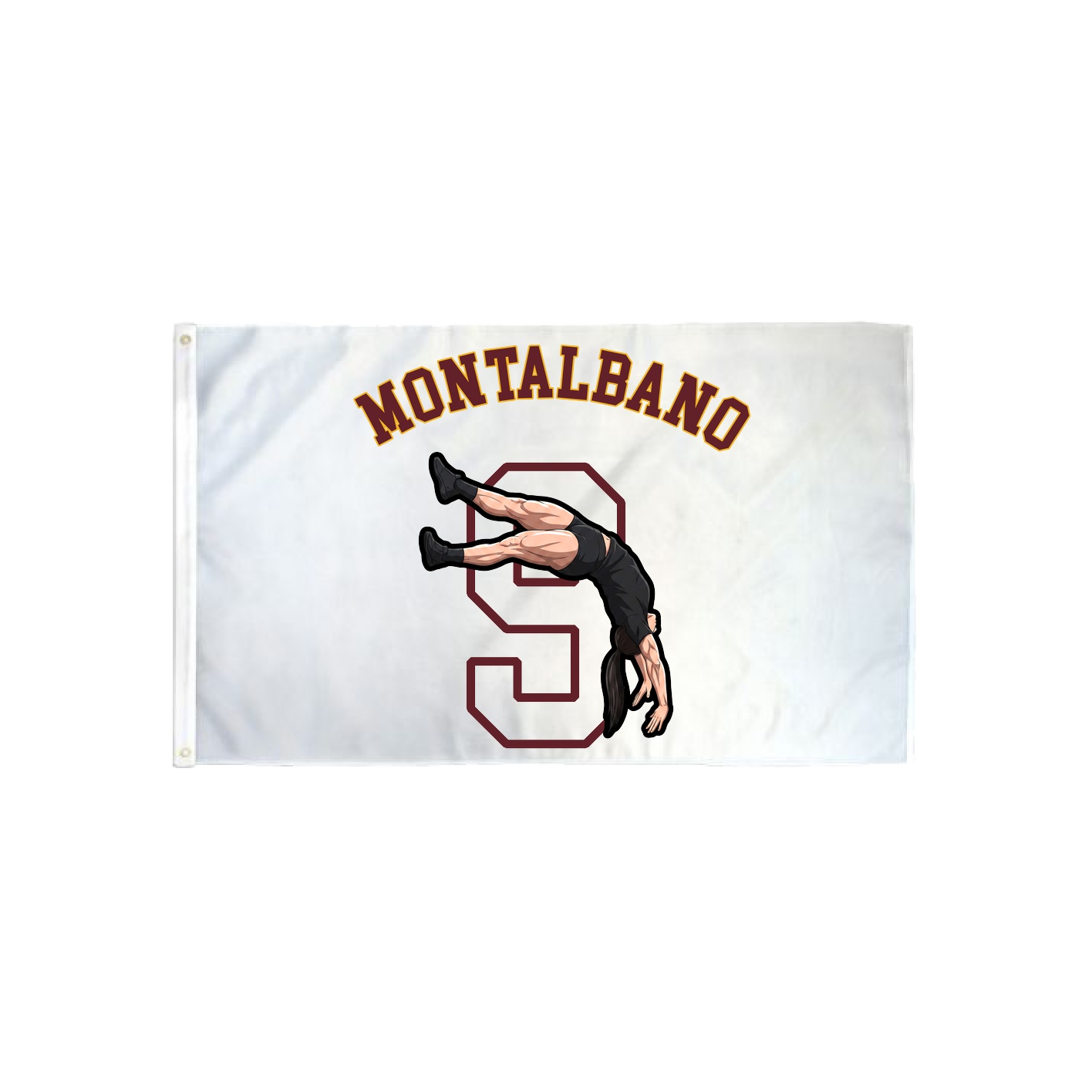 3x5 Flag — Shirsey Arch in Classic