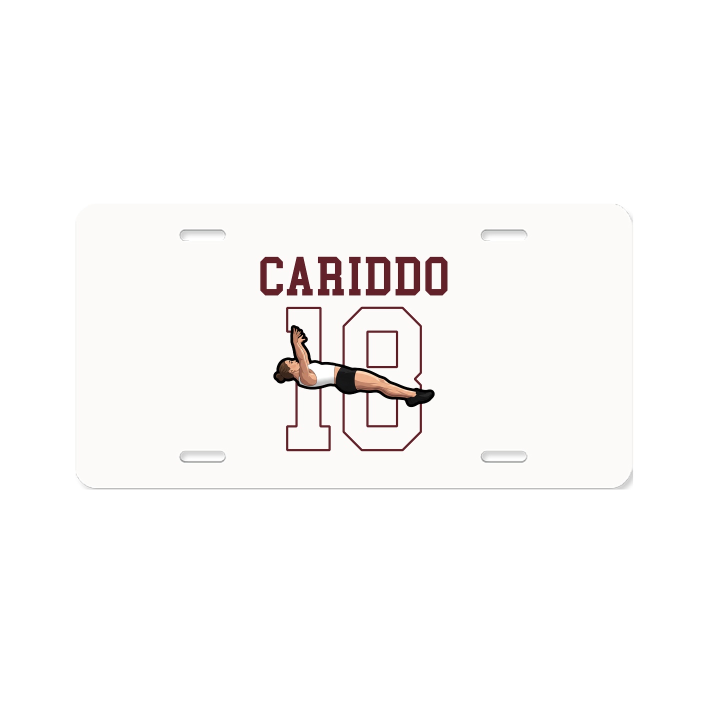 Aluminum License Plate
