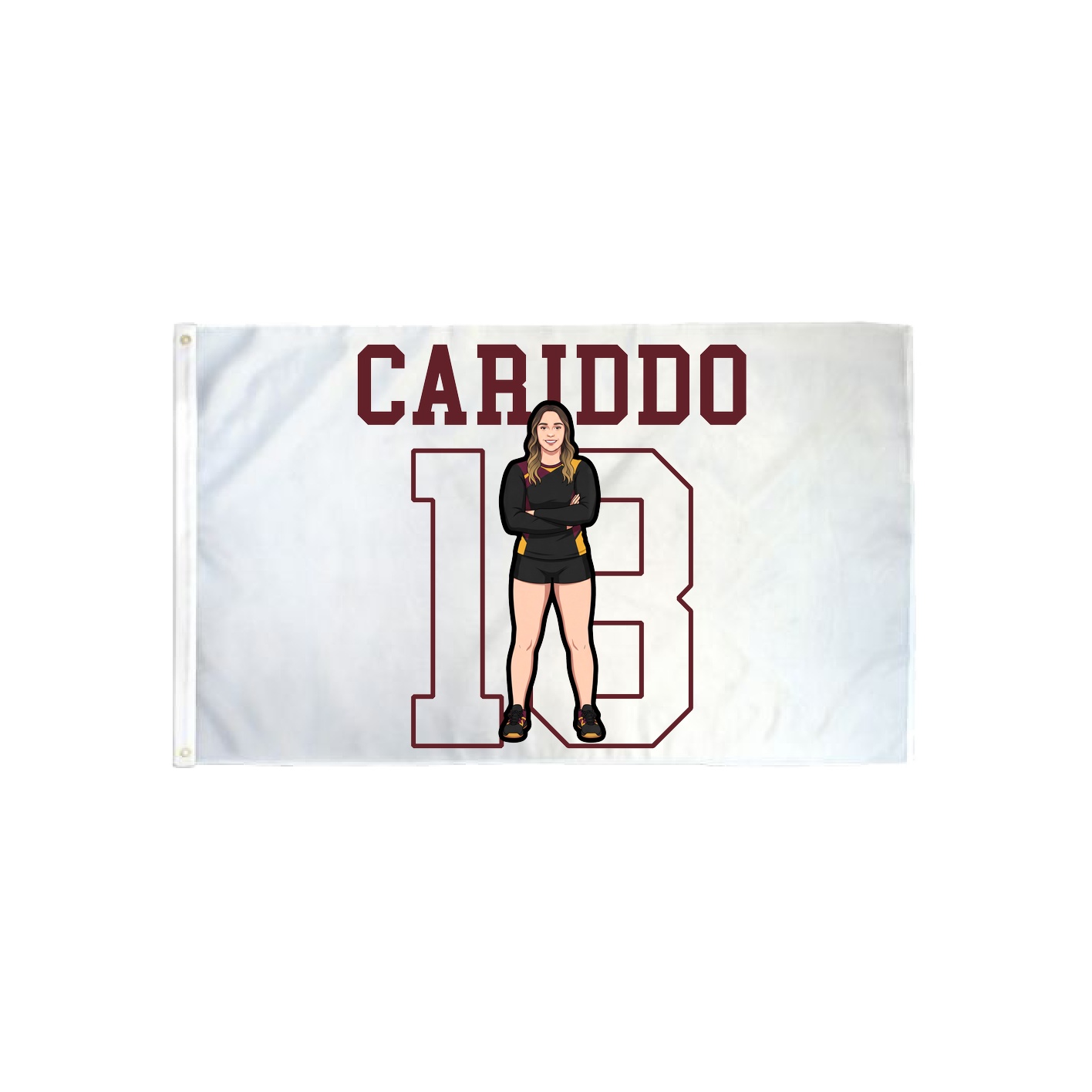 3x5 Flag — Shirsey in Classic