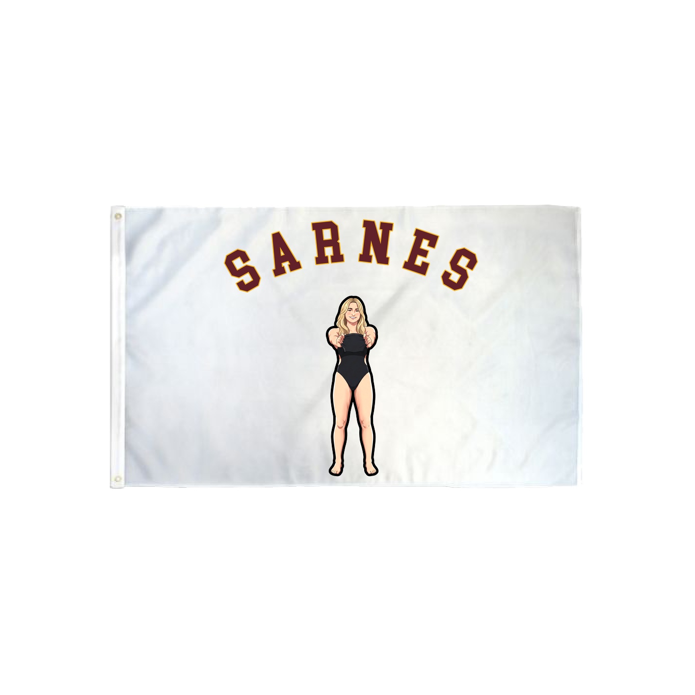 3x5 Flag — Shirsey Arch in Classic