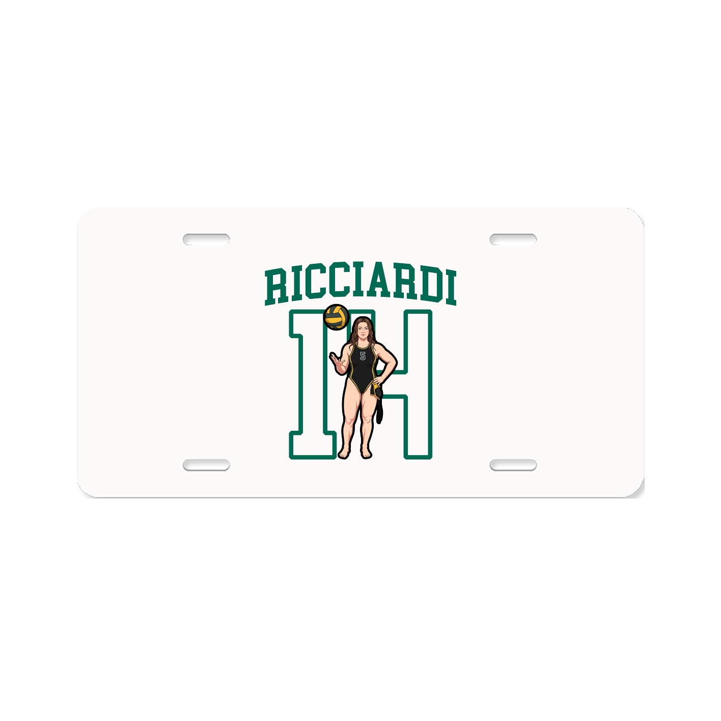 Aluminum License Plate