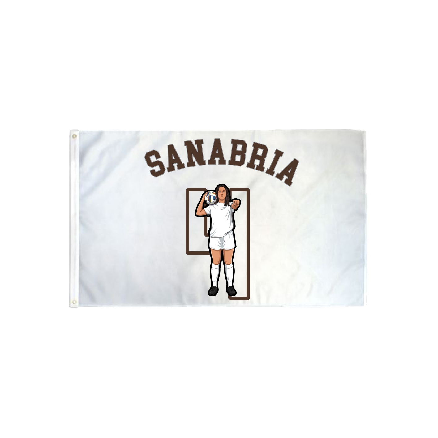3x5 Flag — Shirsey Arch in Classic