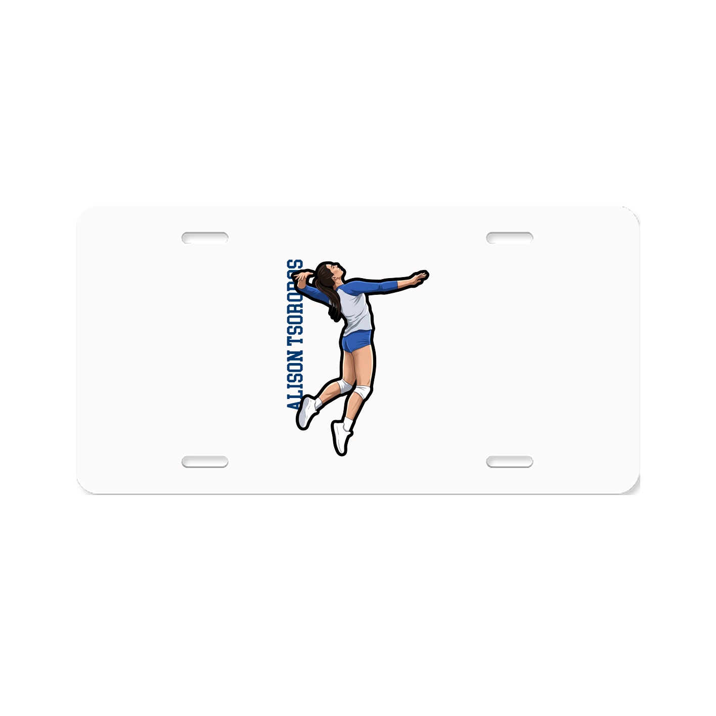 Aluminum License Plate