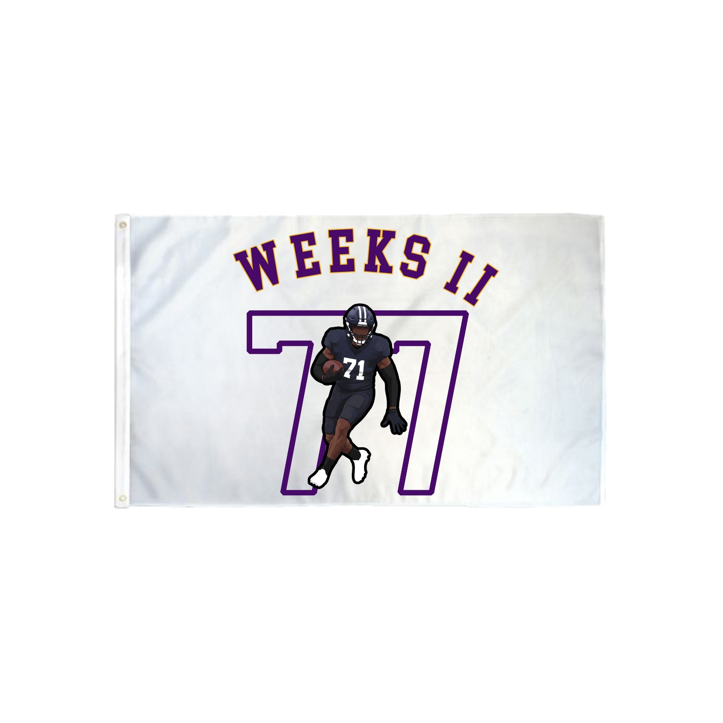 3x5 Flag — Shirsey Arch in Classic