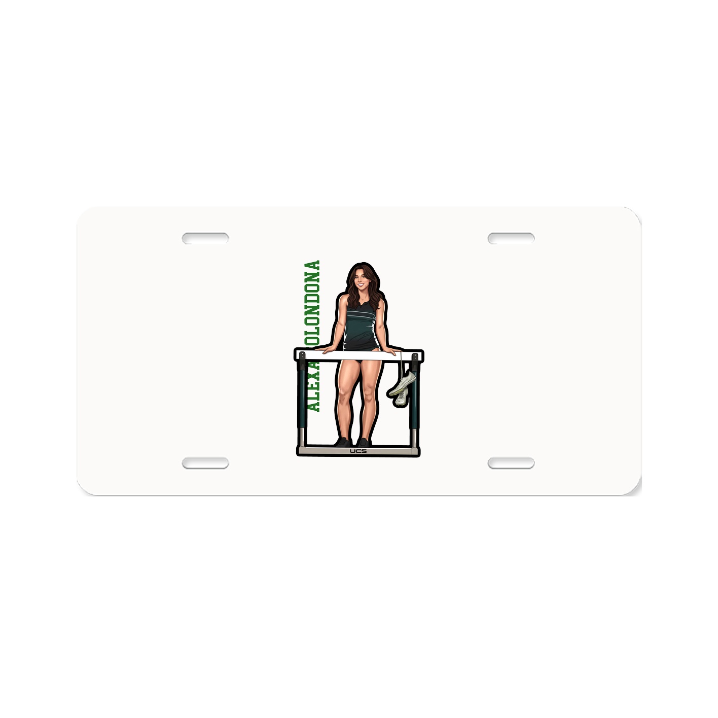 Aluminum License Plate