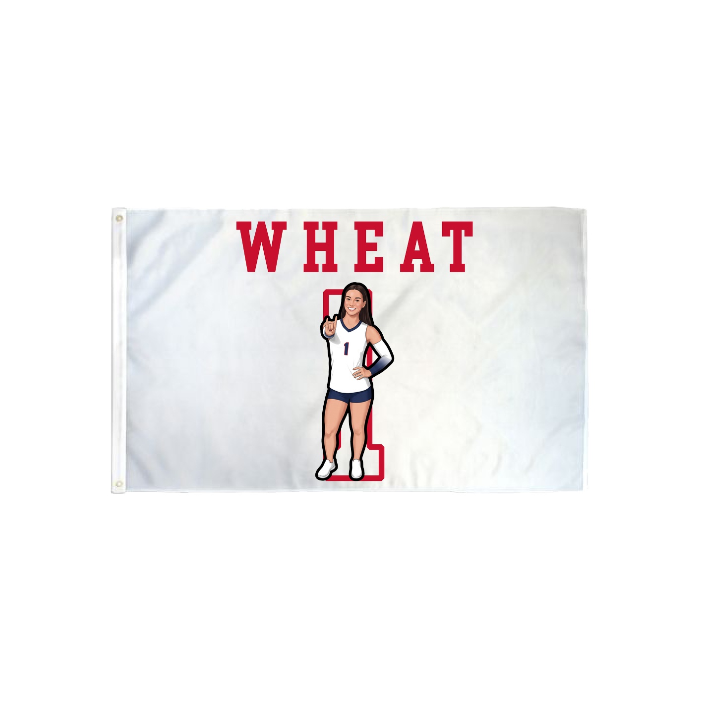 3x5 Flag — Shirsey in Classic
