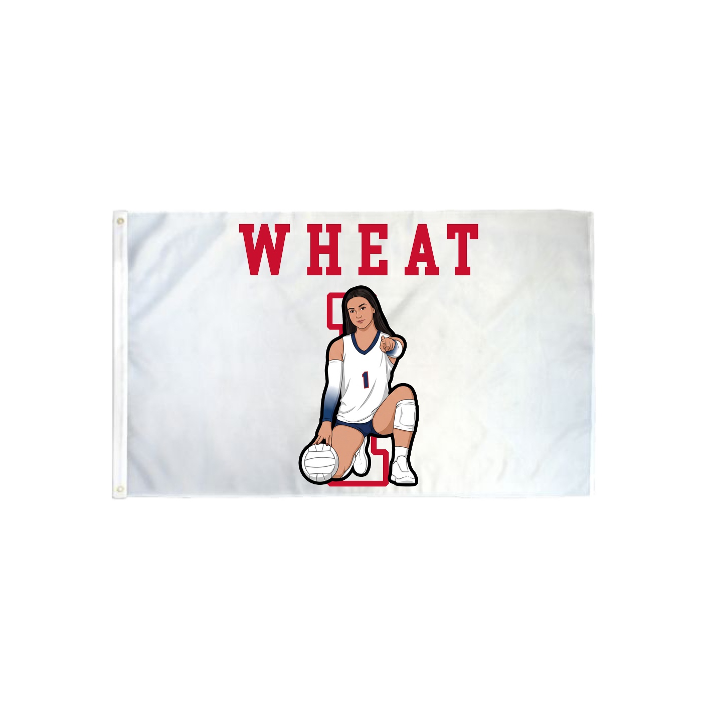 3x5 Flag — Shirsey in Classic