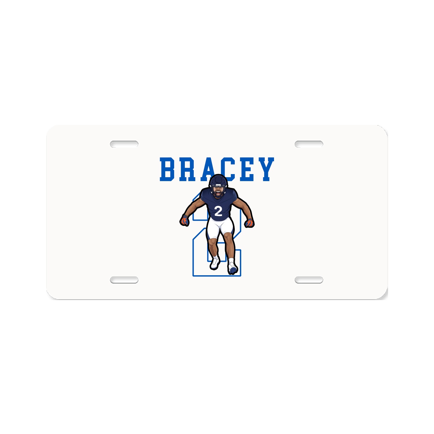 License Plate