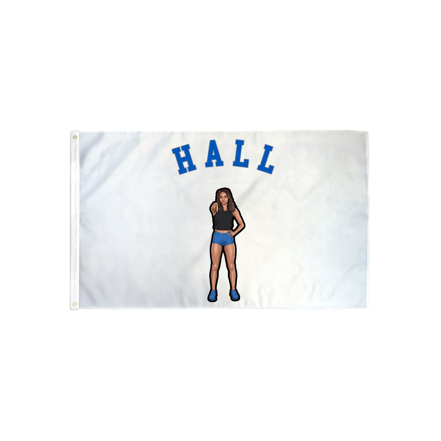3x5 Flag — Shirsey Arch in Classic