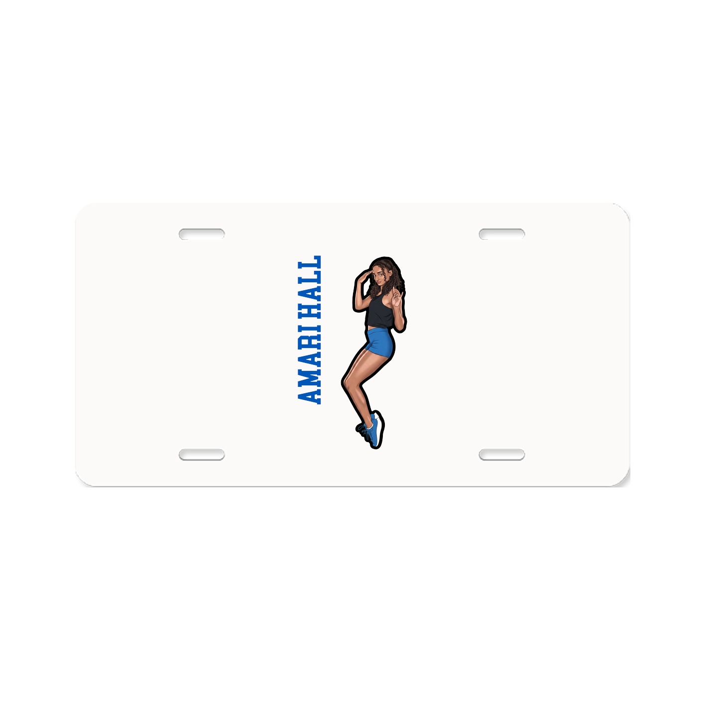 Aluminum License Plate