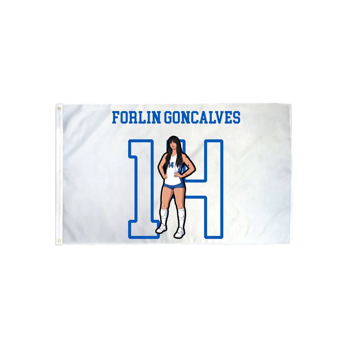 3x5 Flag — Shirsey in Classic