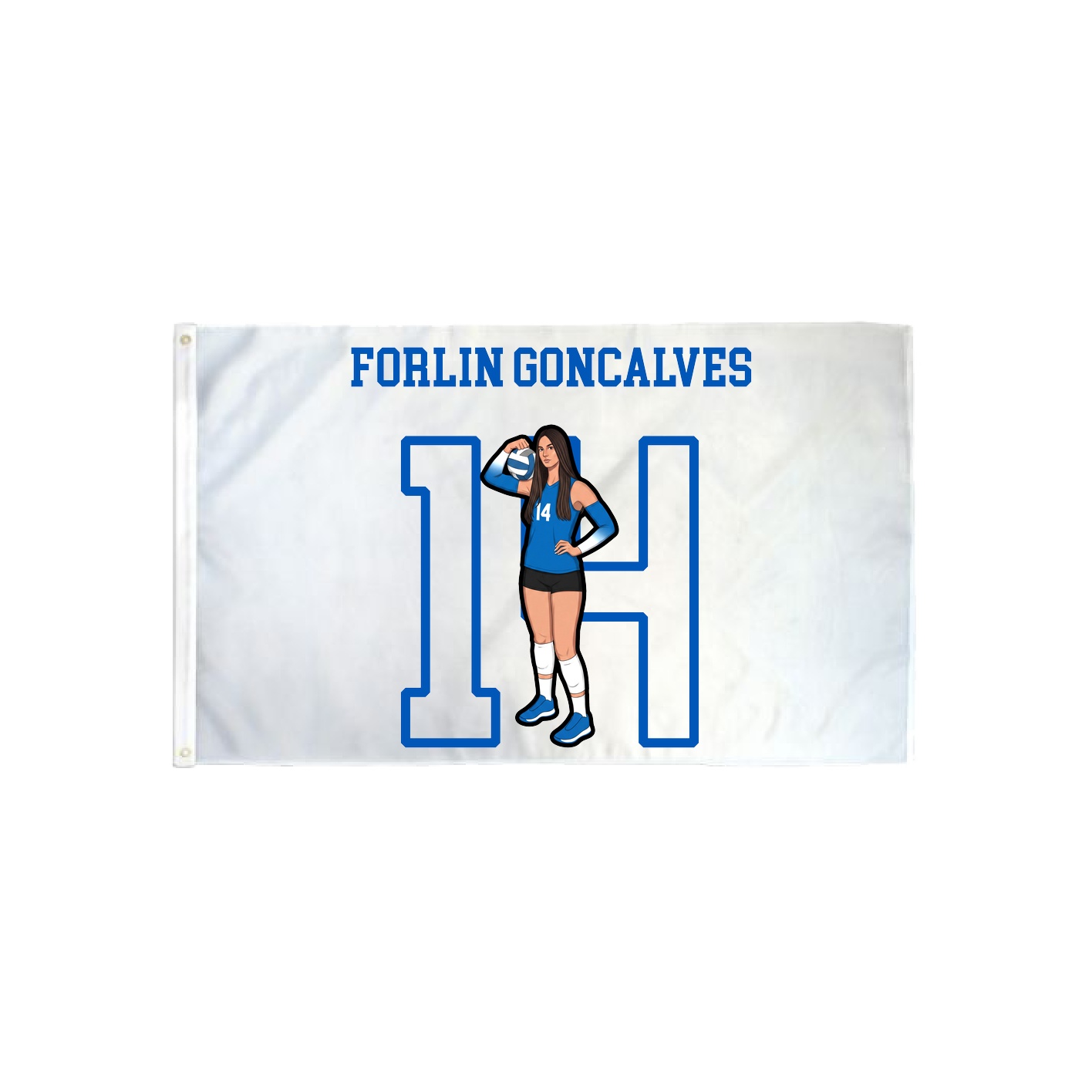 3x5 Flag — Shirsey in Classic