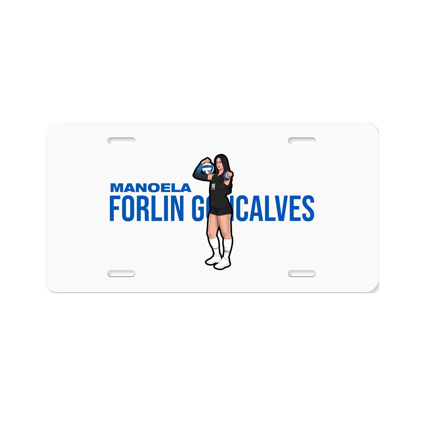 License Plate