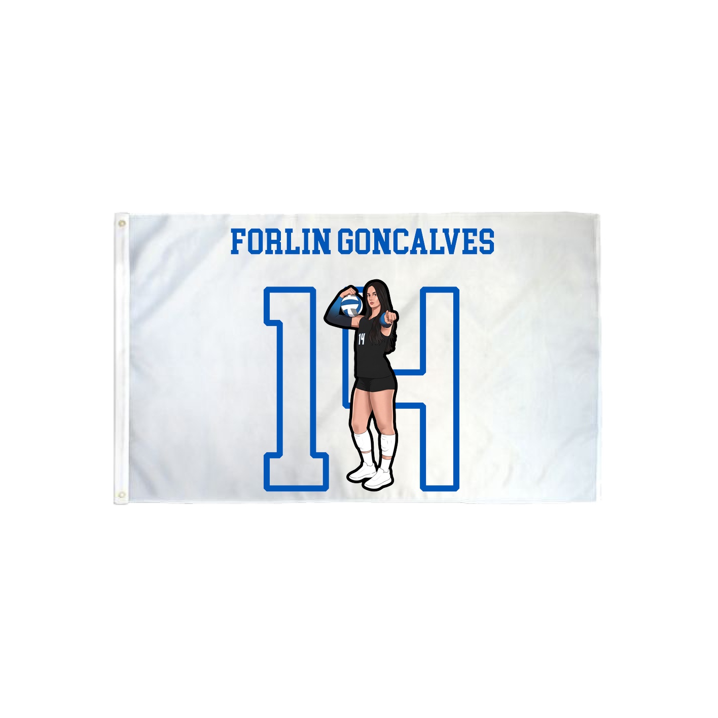 3x5 Flag — Shirsey in Classic