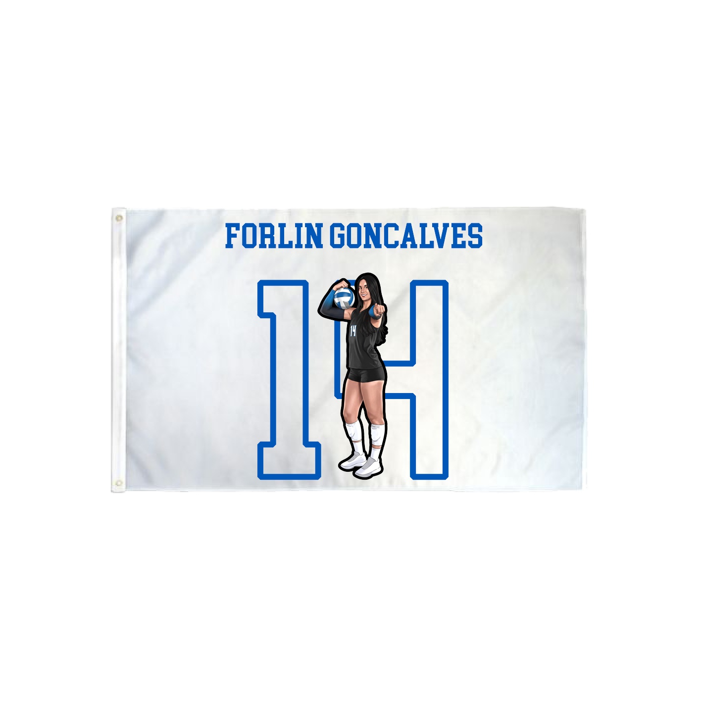 3x5 Flag — Shirsey in Classic