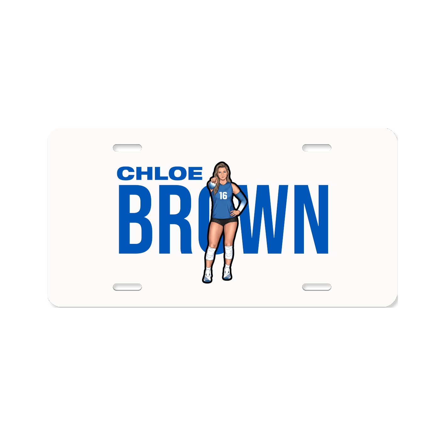 License Plate