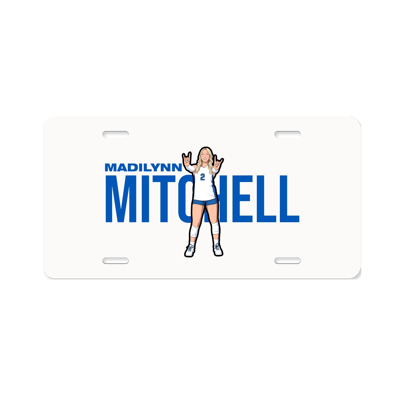 License Plate
