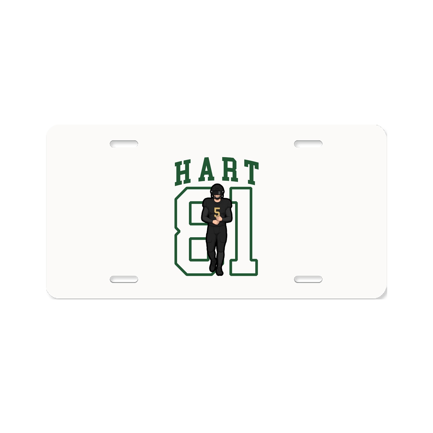 Aluminum License Plate
