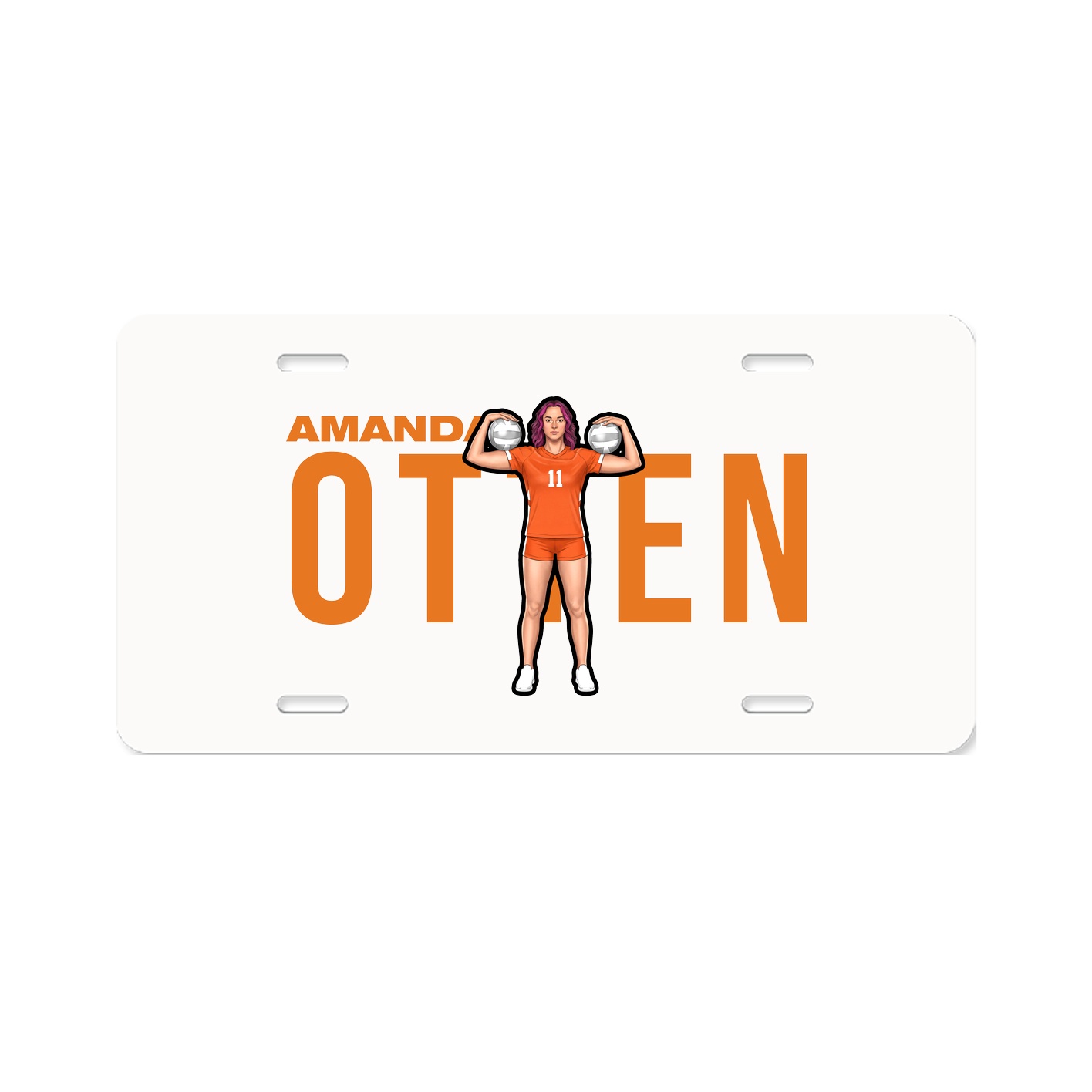 License Plate