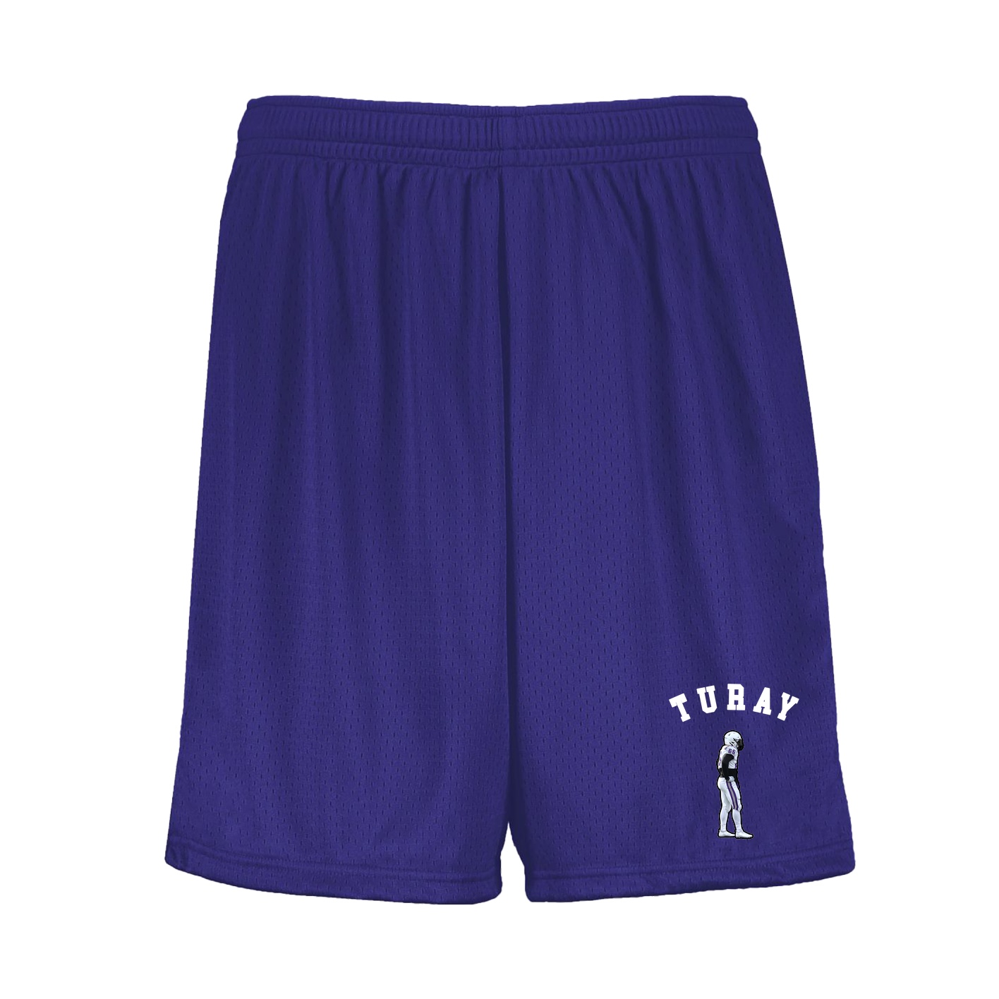 Shorts — Shirsey Arch in Purple