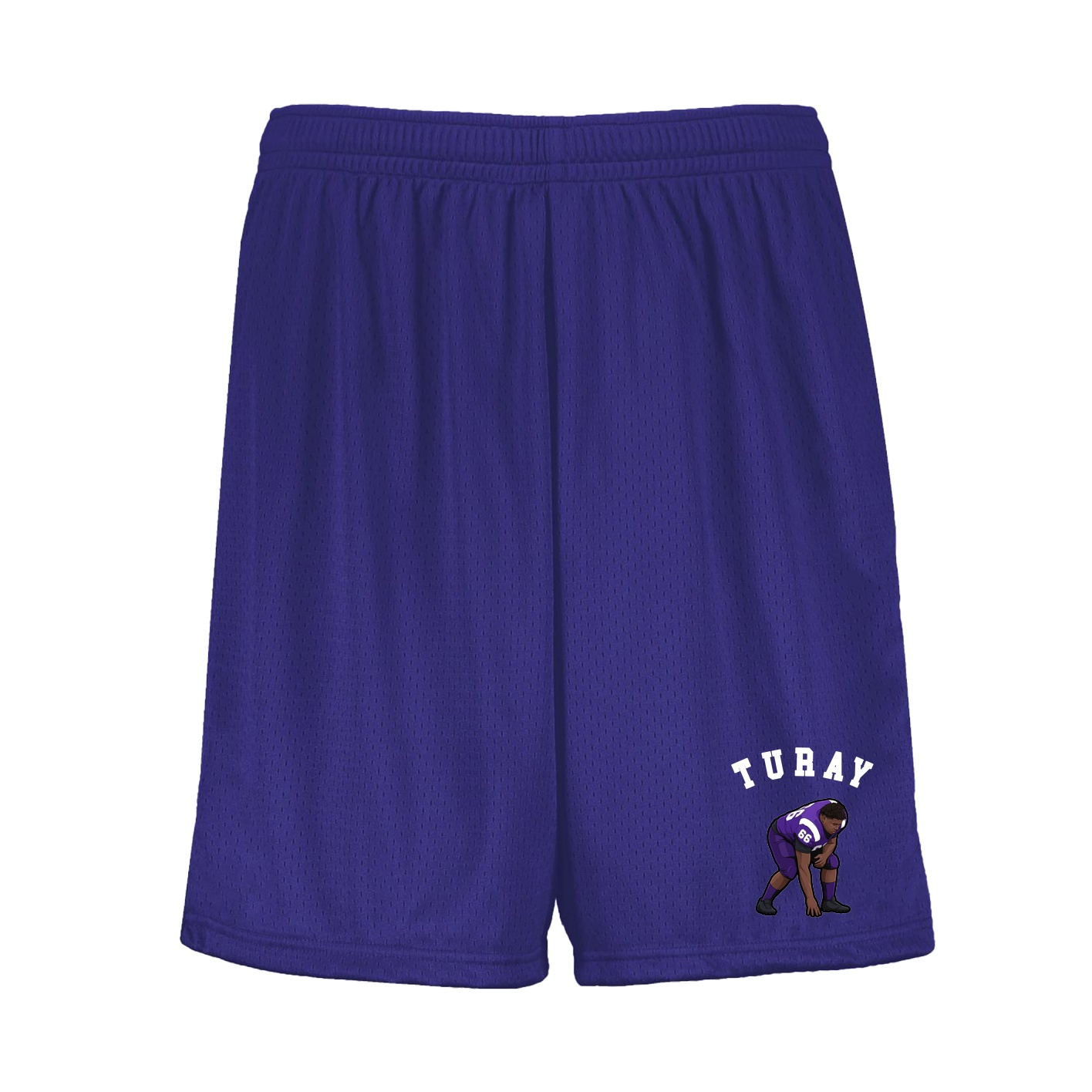 Shorts — Shirsey Arch in Purple