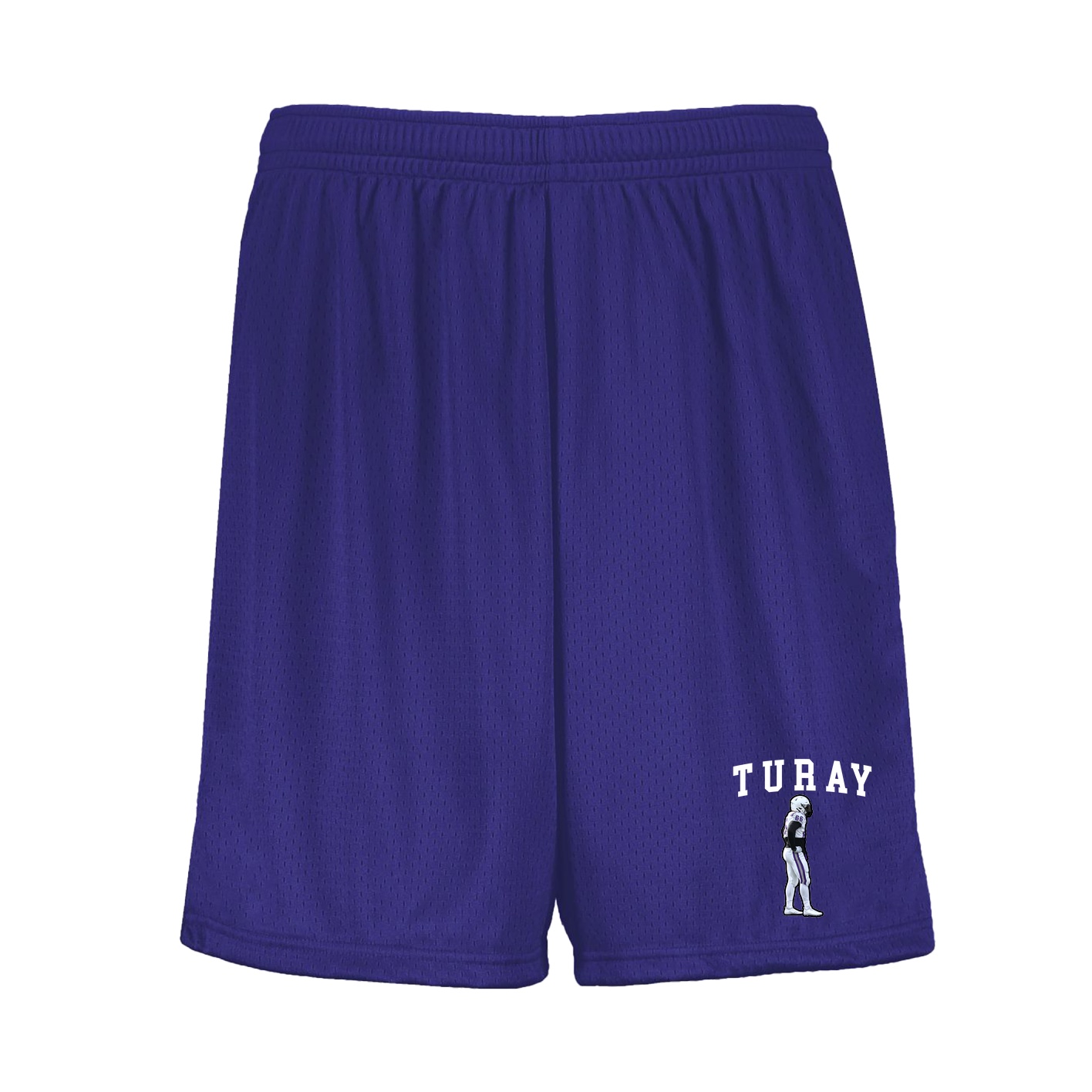Shorts — Shirsey in Purple