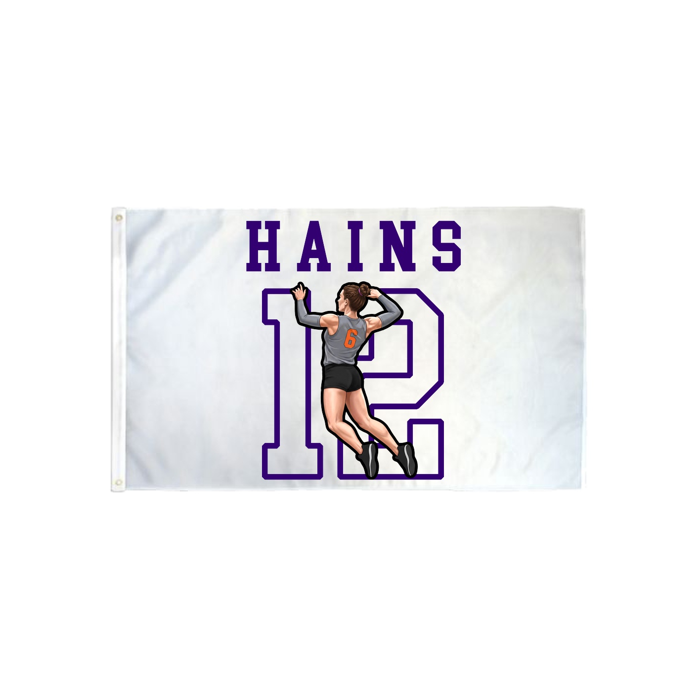 3x5 Flag — Shirsey in Classic