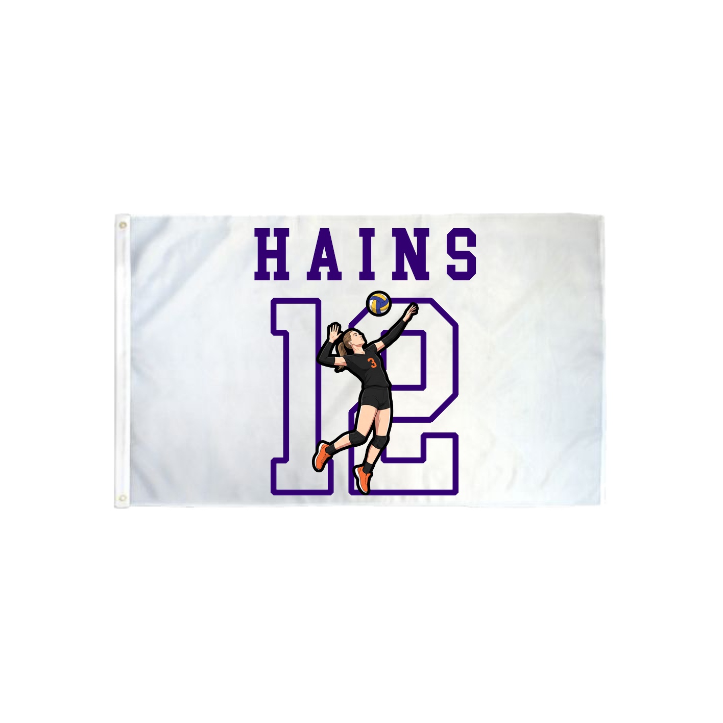 3x5 Flag — Shirsey in Classic