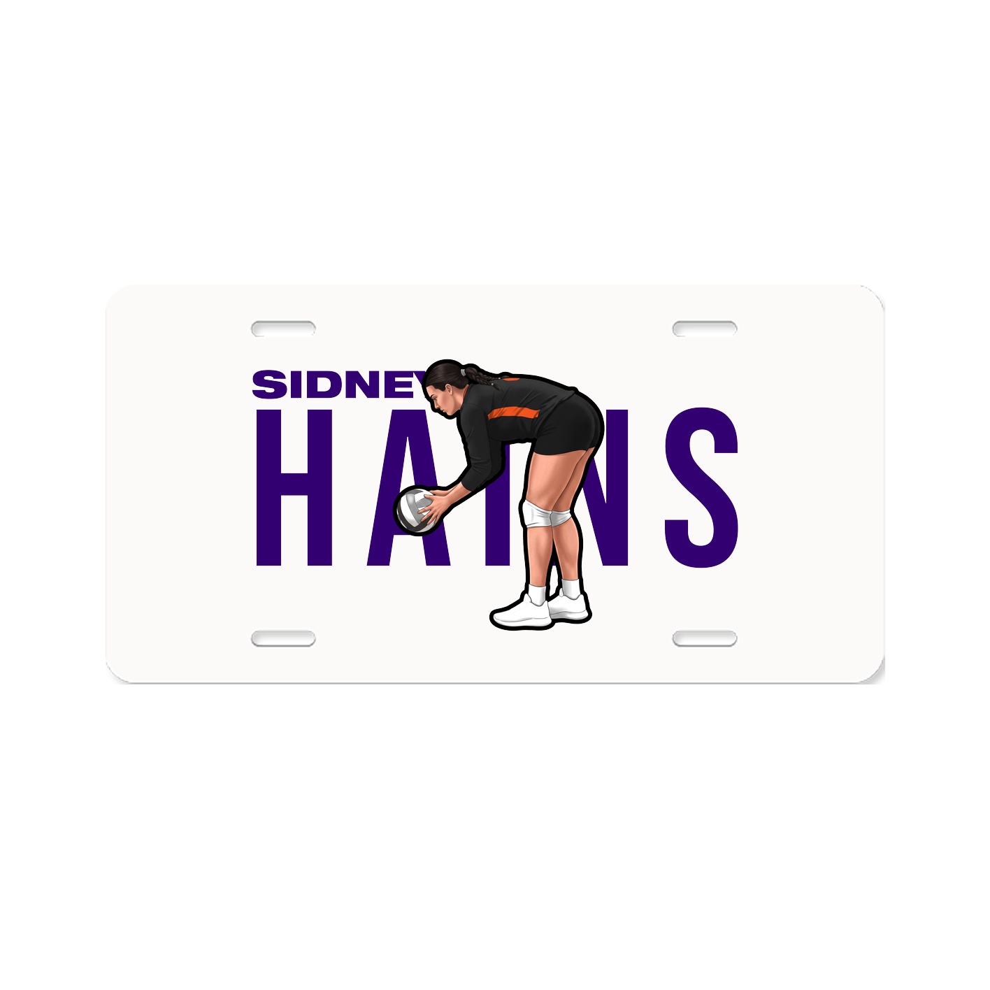 License Plate